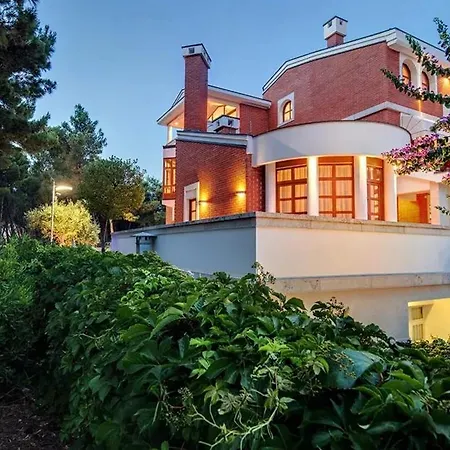 Villa With Jacuzzi On The Riviera *